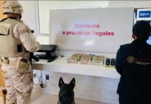 Aduanas decomisa 2.5 millones de pesos en divisas