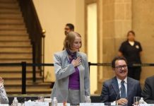 Laura Itzel Castillo presidirá Senado